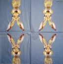 105 Rabbits:  natürlich - 3-ply